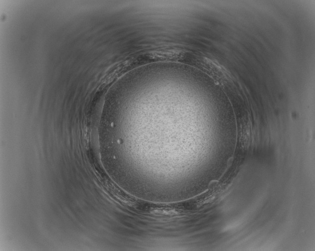 X0000064750749200602131226