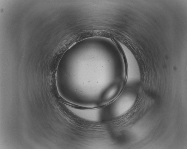 X0000064750750200602131226