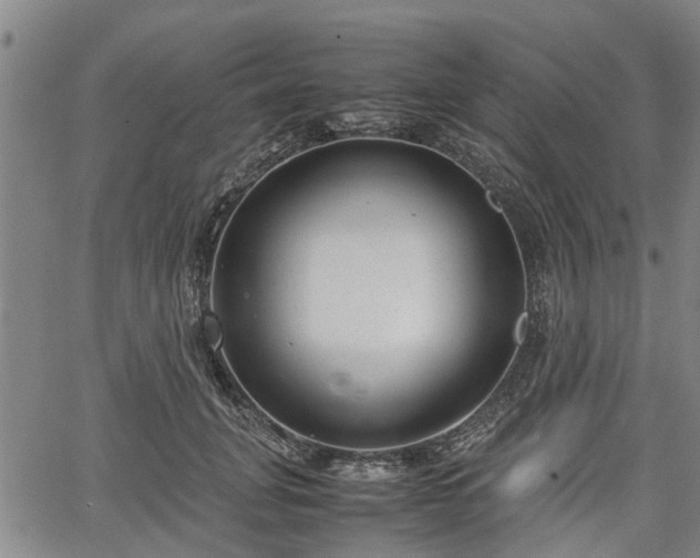 X0000064750751200602131226