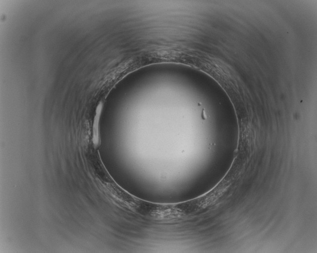 X0000064750752200602131226