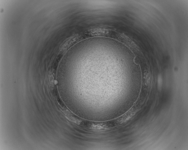 X0000064750753200602131226