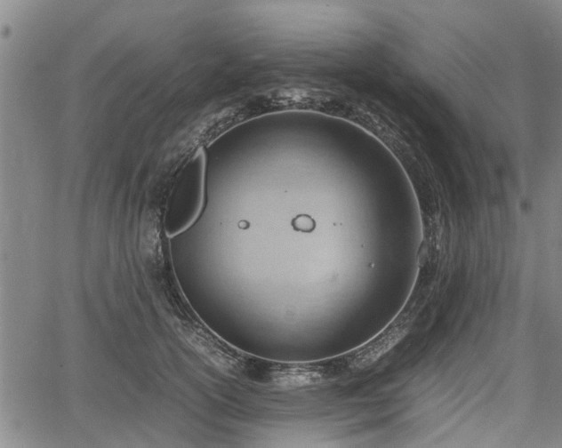 X0000064750754200602131226