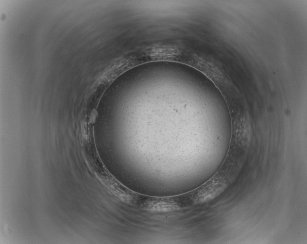 X0000064750755200602131226