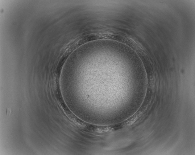 X0000064750757200602131226