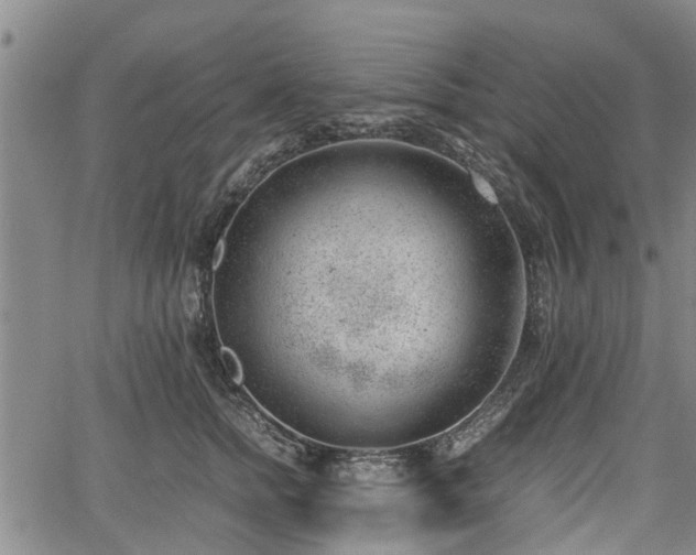 X0000064750758200602131226