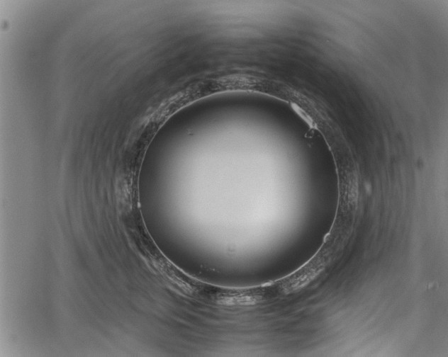 X0000064750759200602131226