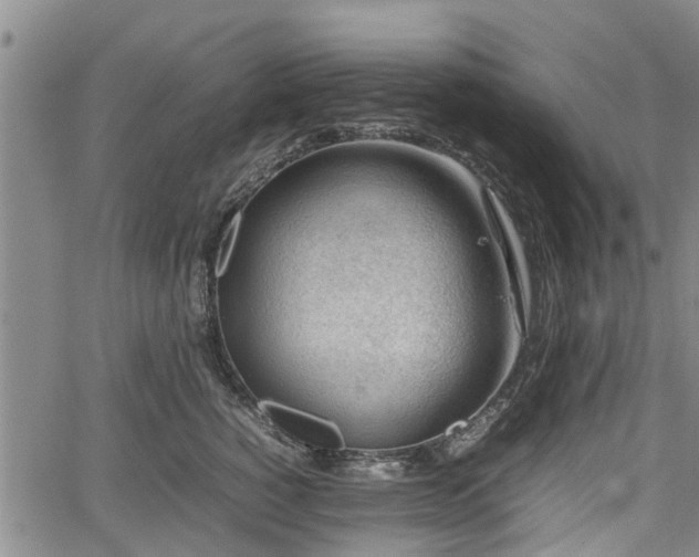 X0000064750760200602131226