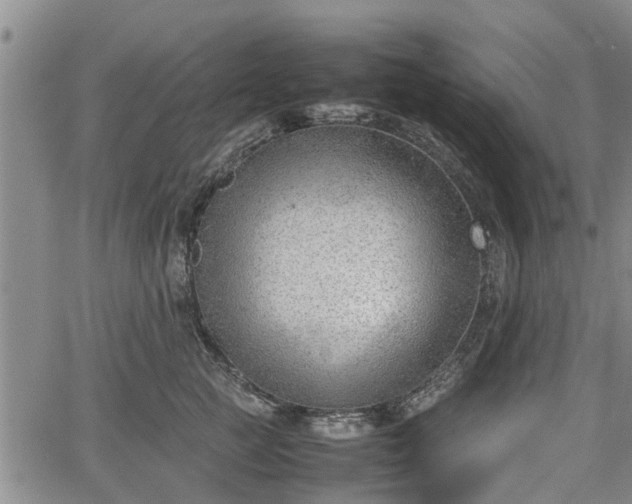 X0000064750761200602131226