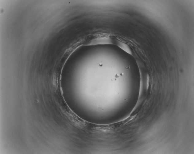 X0000064750763200602131226