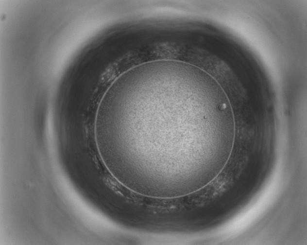 X0000064750765200602131226