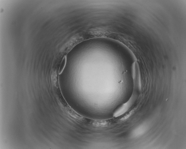 X0000064750767200602131226