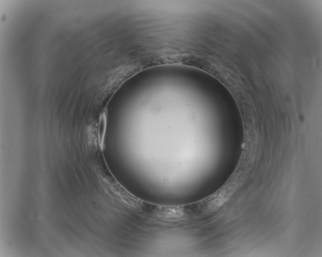 X0000064750768200602131226