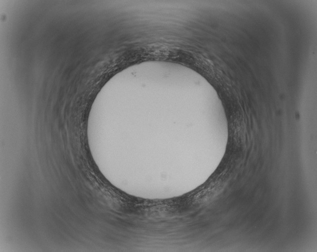 X0000064750769200602131225