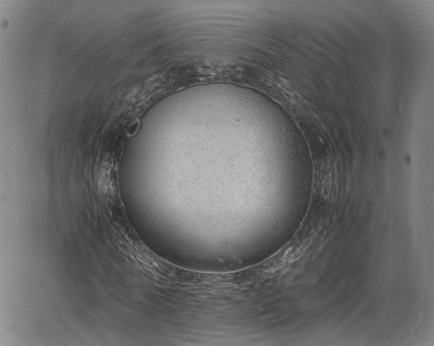 X0000064750770200602131225