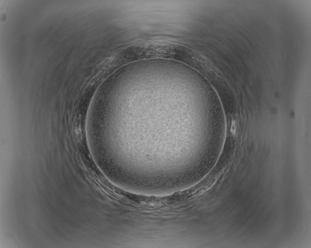 X0000064750771200602131225