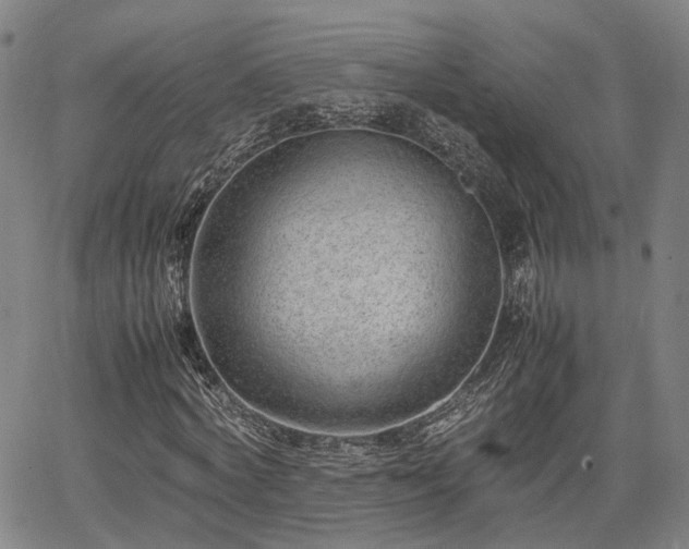 X0000064750772200602131225