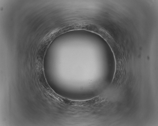 X0000064750773200602131225