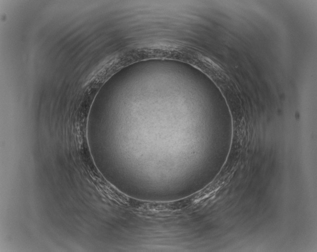 X0000064750774200602131225