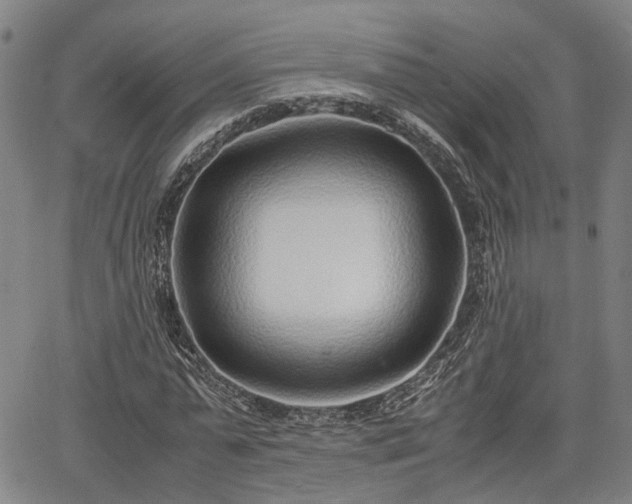 X0000064750775200602131225