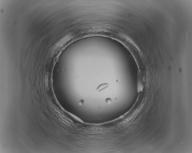 X0000064750777200602131225