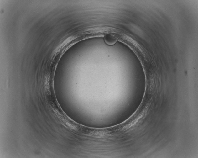 X0000064750778200602131225