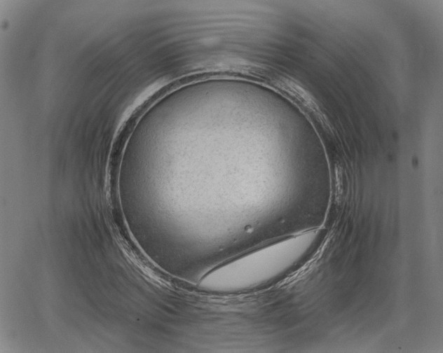 X0000064750780200602131225