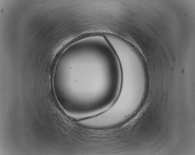 X0000064750781200602131225