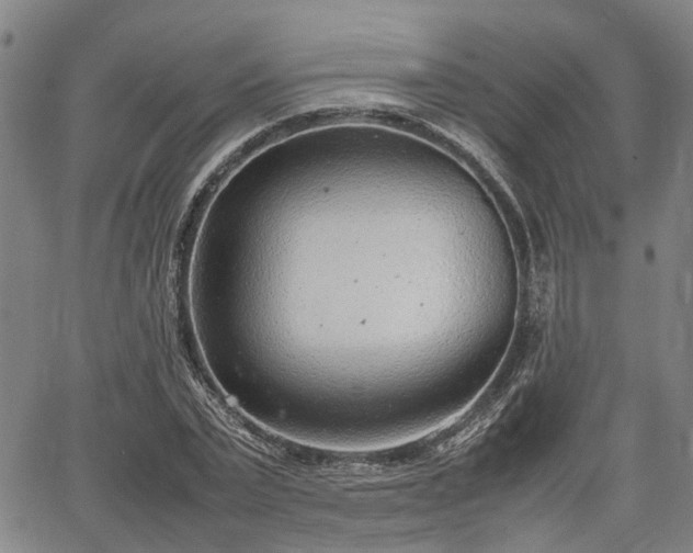 X0000064750783200602131225