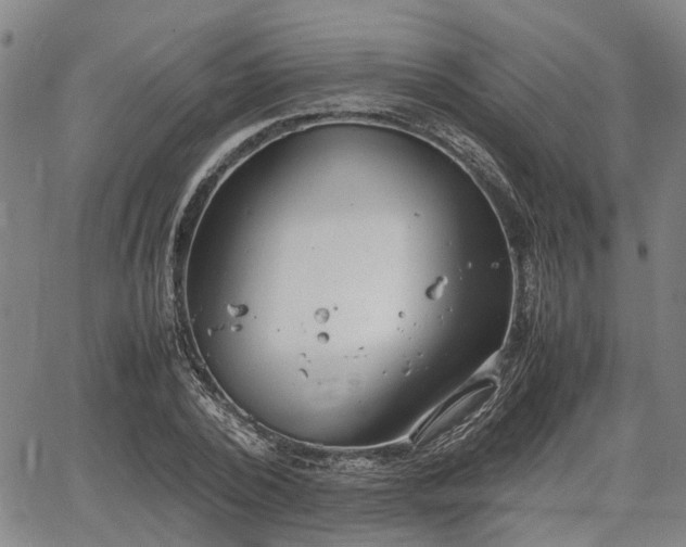 X0000064750784200602131225