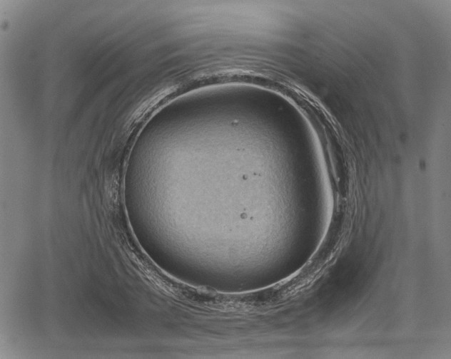 X0000064750785200602131225