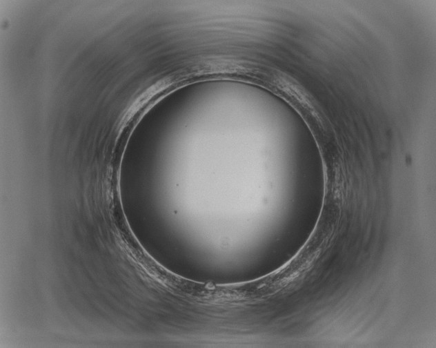 X0000064750786200602131225