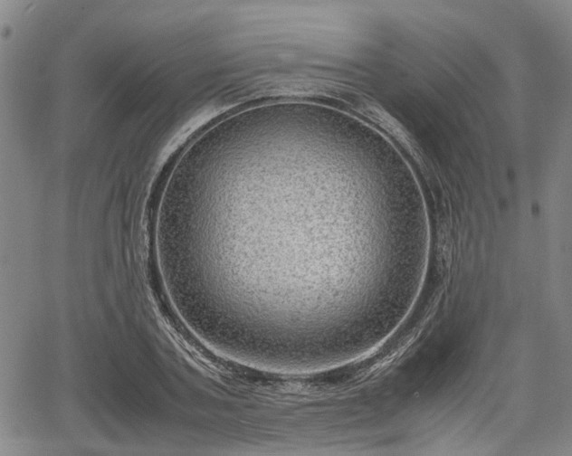 X0000064750787200602131225