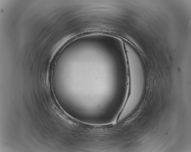 X0000064750788200602131225