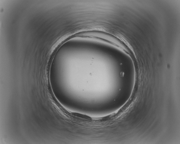 X0000064750789200602131225