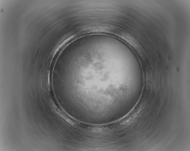 X0000064750790200602131225