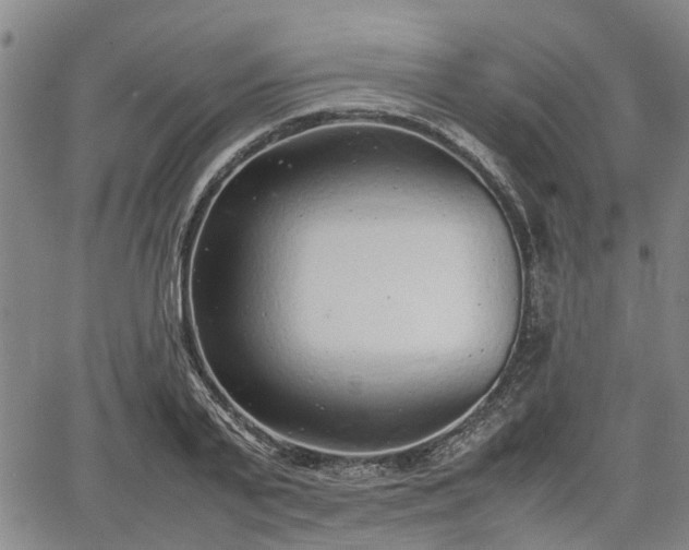 X0000064750791200602131225