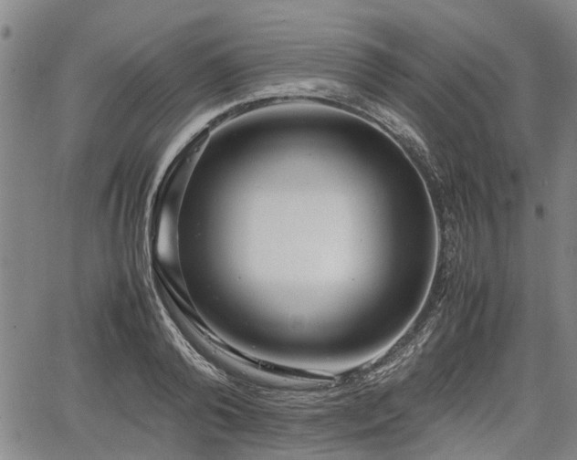 X0000064750792200602131225