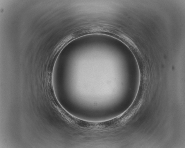 X0000064750793200602131225