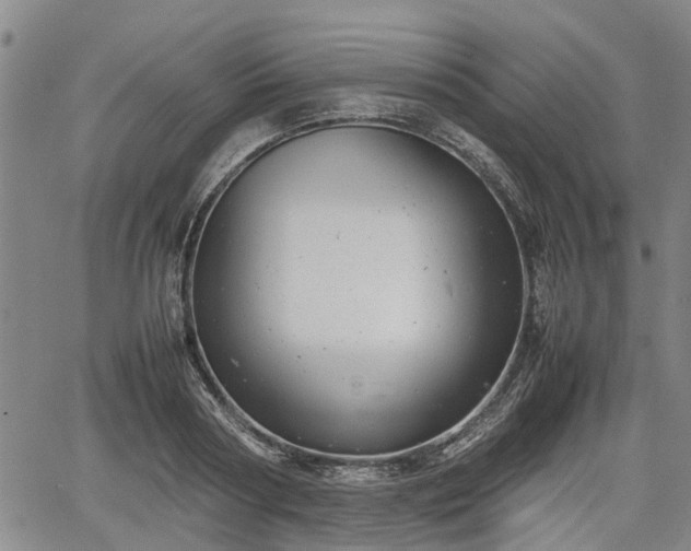 X0000064750794200602131225