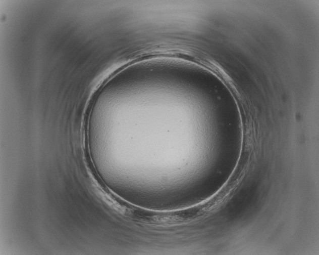 X0000064750795200602131225