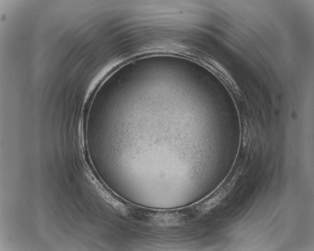 X0000064750796200602131225