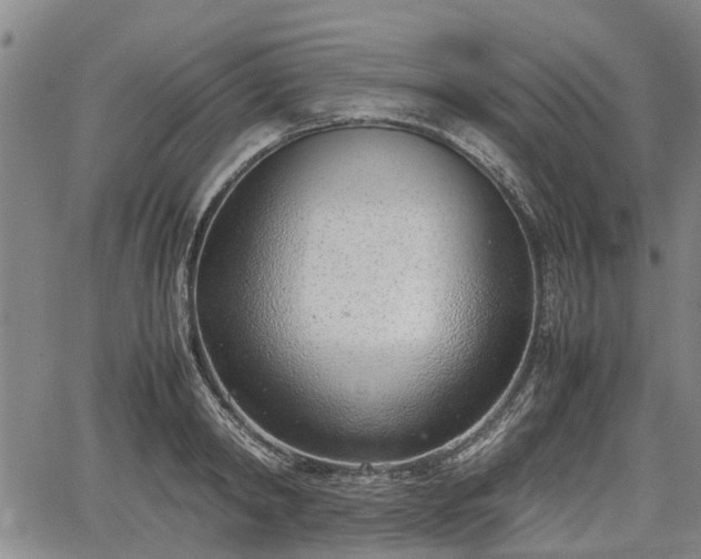 X0000064750798200602131225