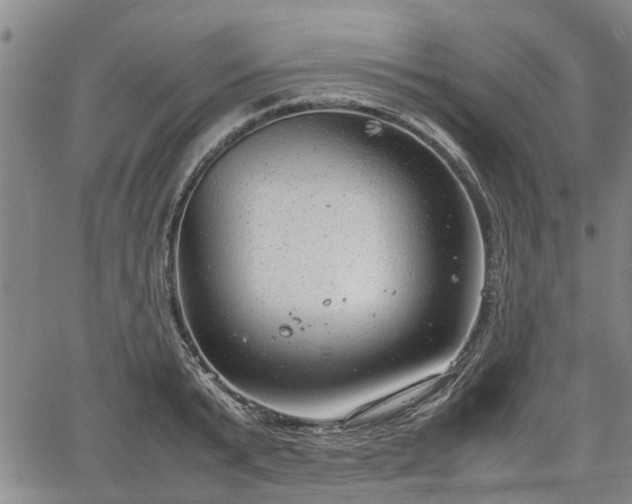 X0000064750799200602131225