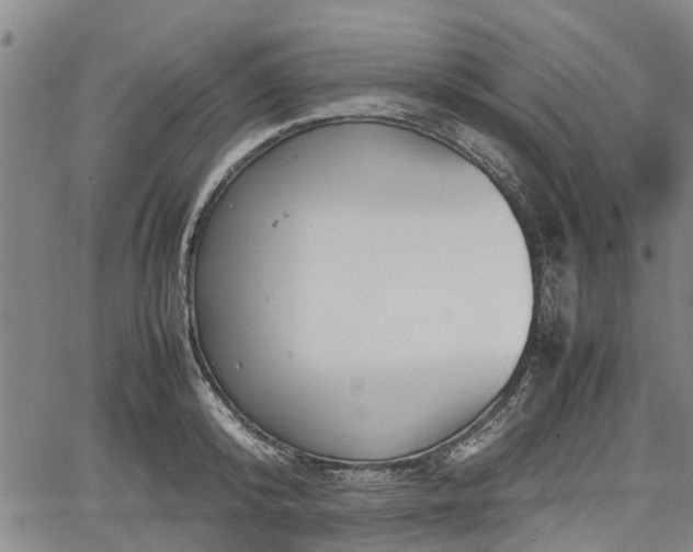 X0000064750800200602131225