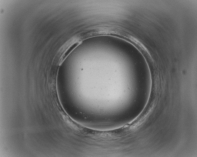 X0000064750801200602131225