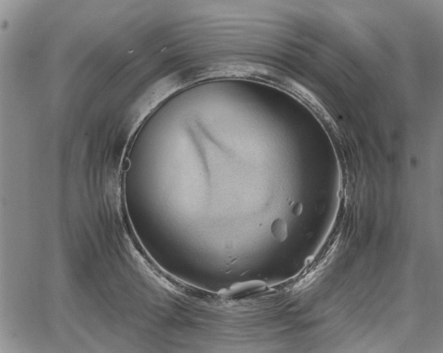 X0000064750802200602131225