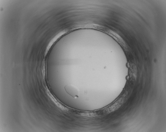 X0000064750804200602131225