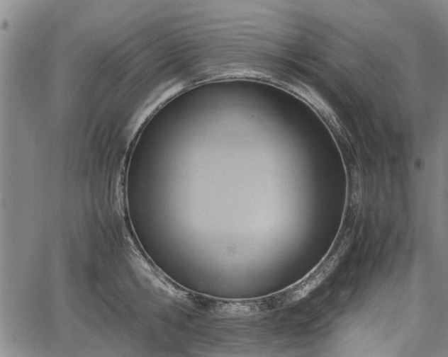 X0000064750806200602131225