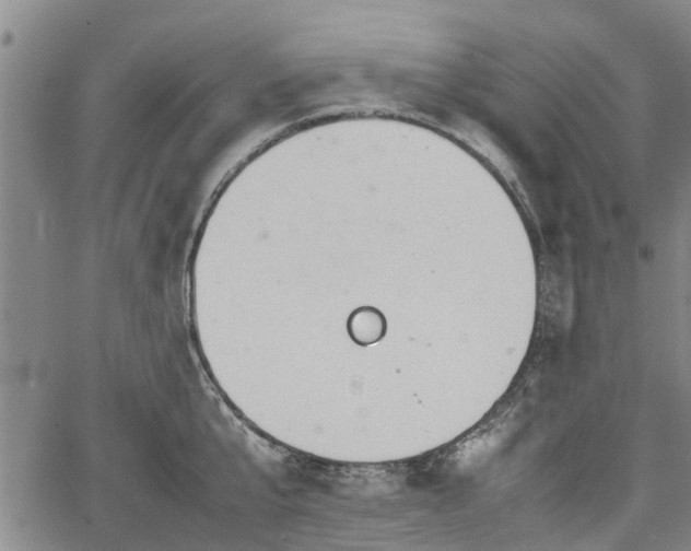 X0000064750807200602131225