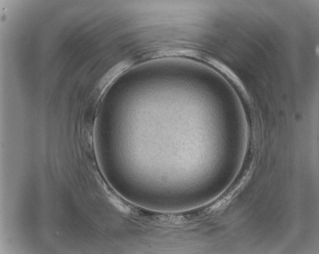 X0000064750809200602131225